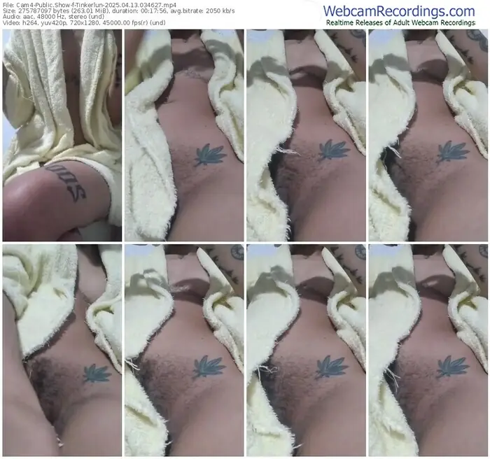 cam4-tinkerlun-04-13-2025-03-46-27