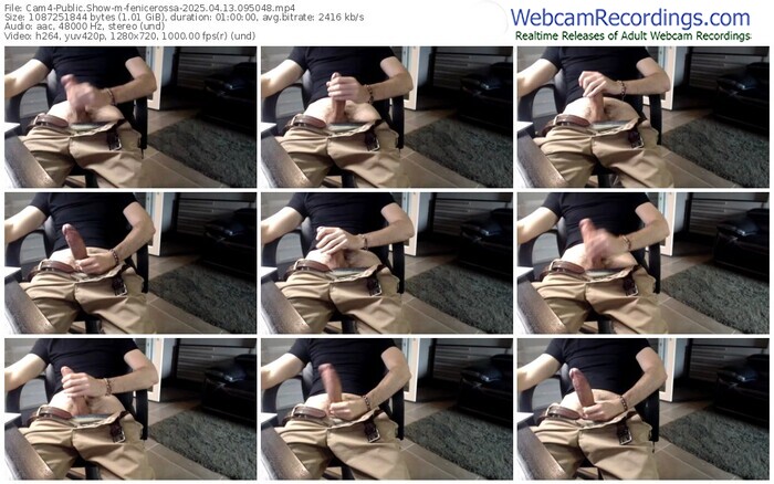 cam4-fenicerossa-04-13-2025-09-50-48