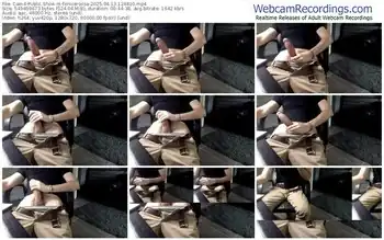 cam4-fenicerossa-04-13-2025-12-48-10