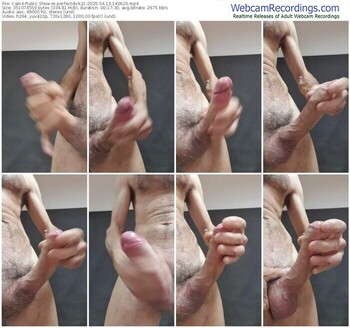 cam4-perfectdick21-04-13-2025-14-06-20