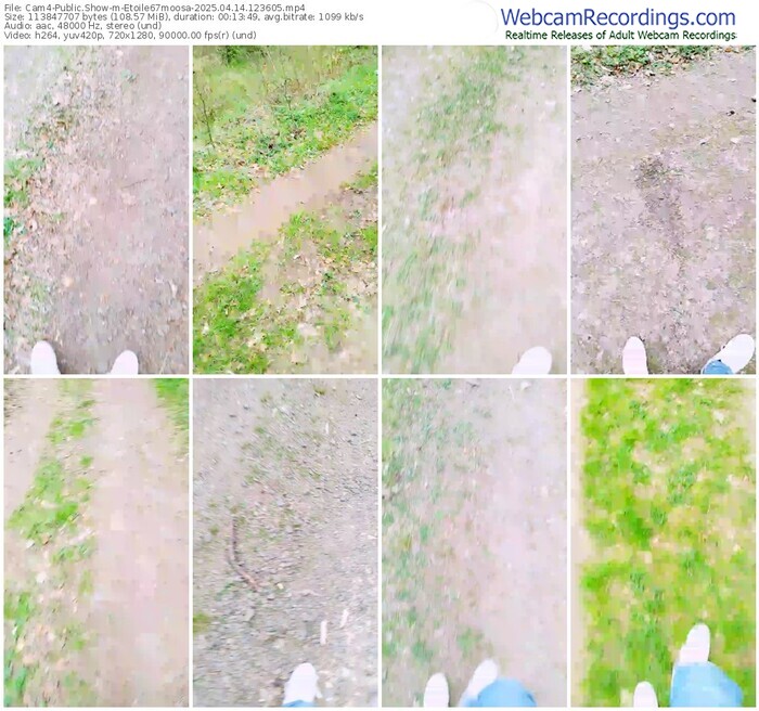 cam4-etoile67moosa-04-14-2025-12-36-05