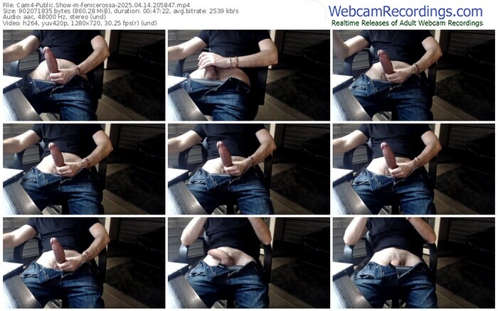 cam4-fenicerossa-04-14-2025-20-58-47
