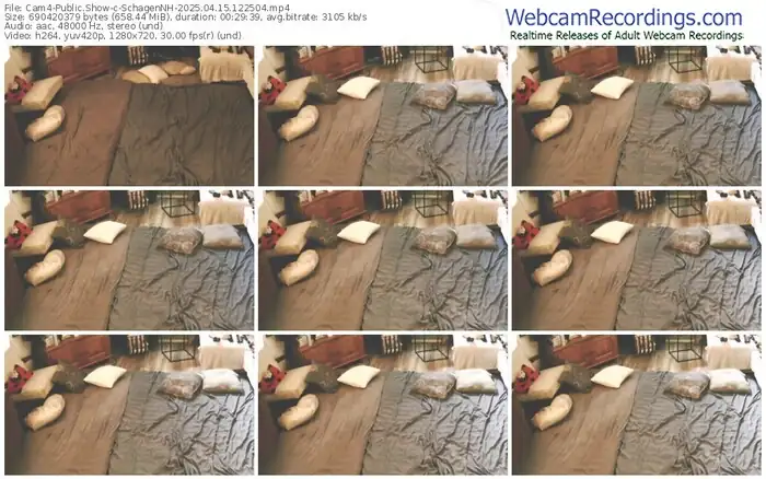 cam4-schagennh-04-15-2025-12-25-04