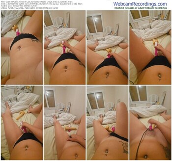 cam4-lolacochonne91-04-15-2025-21-58-47