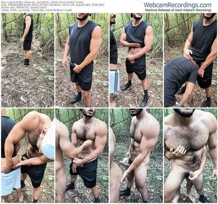 cam4-_alladyn_-04-15-2025-16-42-17