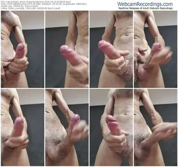 cam4-perfectdick21-04-15-2025-05-30-36