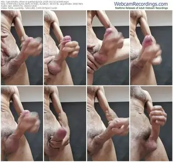 cam4-perfectdick21-04-15-2025-14-33-49