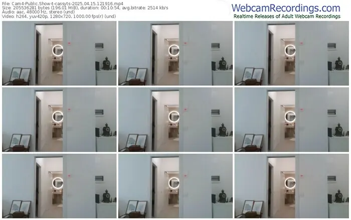 cam4-cassyts-04-15-2025-12-19-16