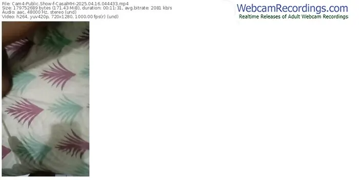 cam4-casalmh-04-16-2025-04-44-33