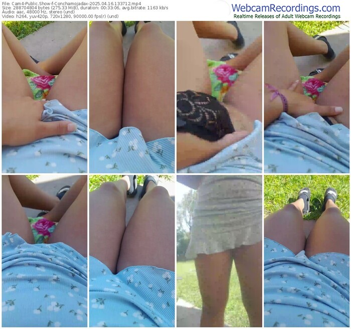 cam4-conchamojadax-04-16-2025-13-37-12