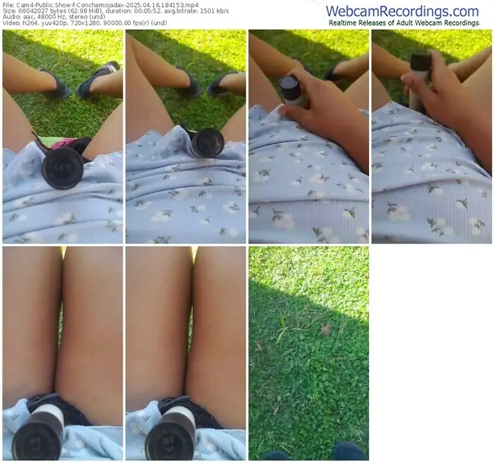 cam4-conchamojadax-04-16-2025-18-41-53