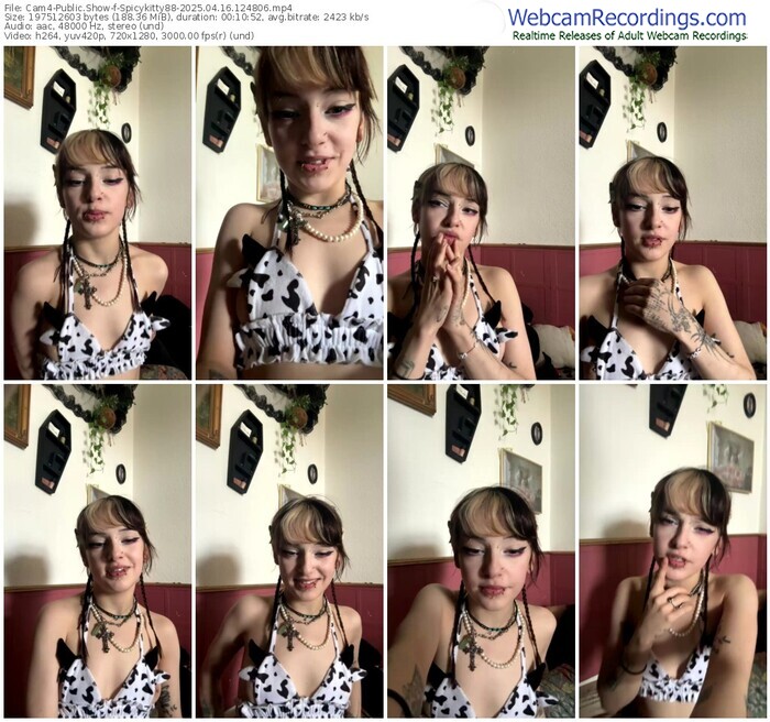 cam4-spicykitty88-04-16-2025-12-48-06