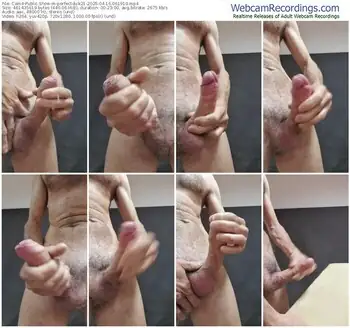 cam4-perfectdick21-04-16-2025-06-19-10