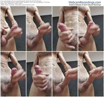 cam4-perfectdick21-04-16-2025-07-51-38