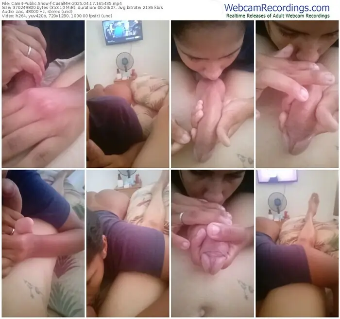 cam4-casalmh-04-17-2025-16-54-35