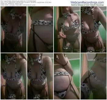 cam4-lunv-04-17-2025-01-59-24