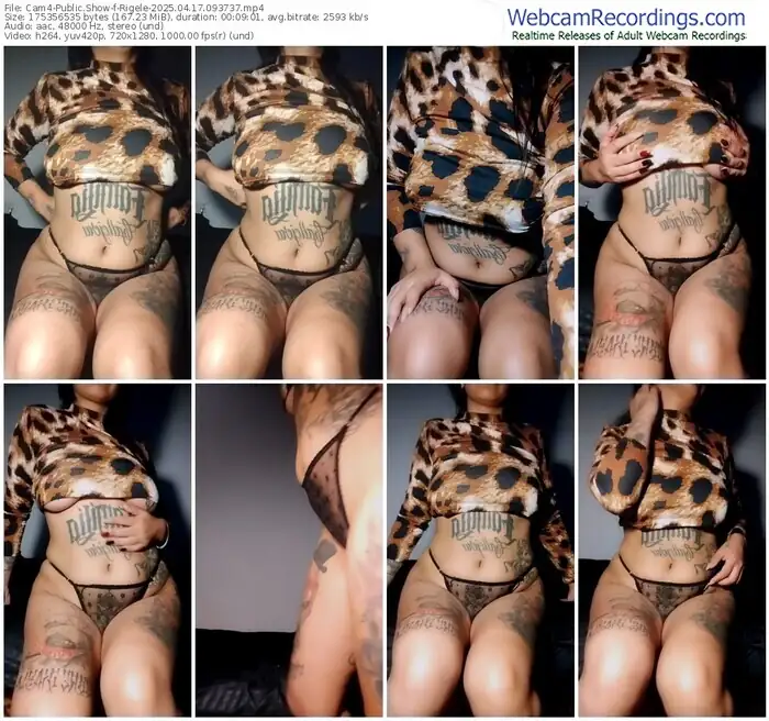 cam4-rigele-04-17-2025-09-37-37