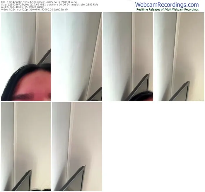 cam4-sdenisse21-04-17-2025-21-09-31