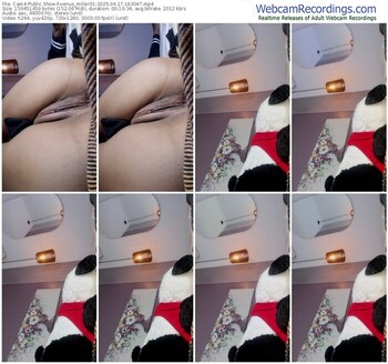 cam4-venus_miller01-04-17-2025-16-30-47