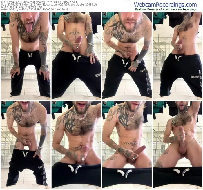 cam4-bigprofit95-04-17-2025-09-15-22