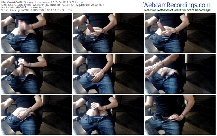 cam4-fenicerossa-04-17-2025-22-45-21