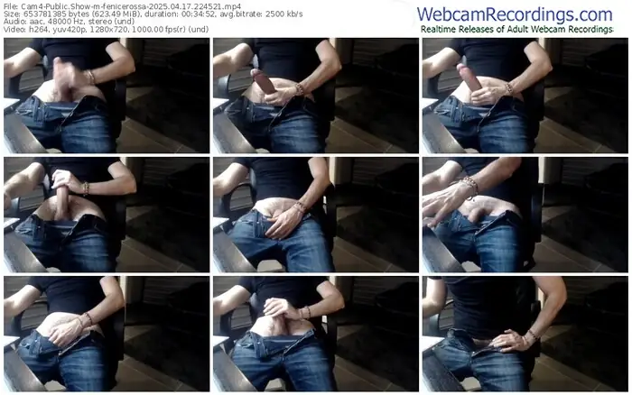 cam4-fenicerossa-04-17-2025-22-45-21