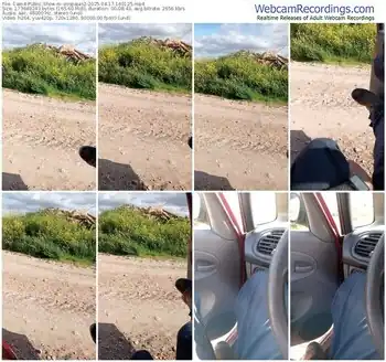 cam4-osopajas2-04-17-2025-16-01-25