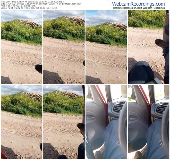 cam4-osopajas2-04-17-2025-16-01-25