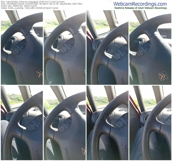 cam4-osopajas2-04-17-2025-16-11-10