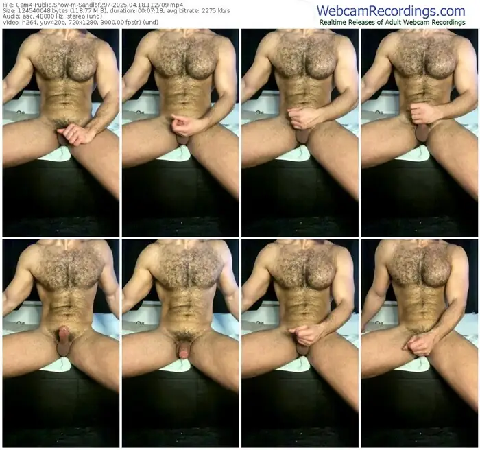 cam4-sandlof297-04-18-2025-11-27-09