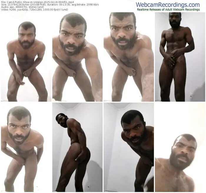 cam4-vidalgo-04-18-2025-00-44-51