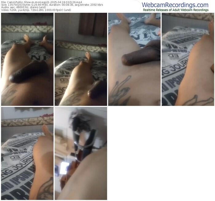 cam4-morcego01-04-18-2025-03-21-26