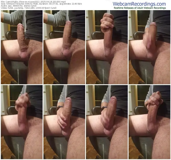 cam4-nicooo2011-04-18-2025-20-10-50
