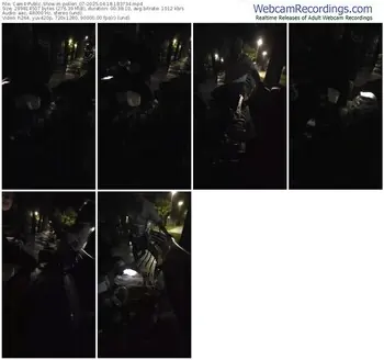 cam4-pollen_07-04-18-2025-18-37-34