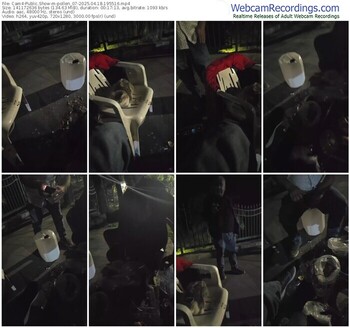 cam4-pollen_07-04-18-2025-19-55-16