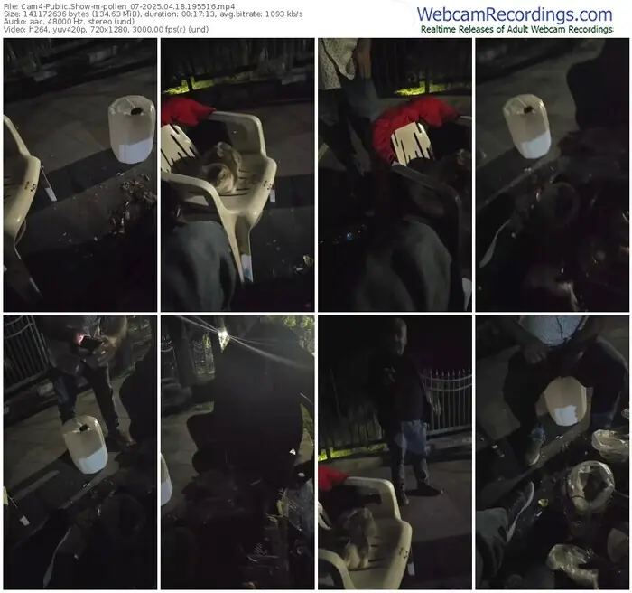 cam4-pollen_07-04-18-2025-19-55-16