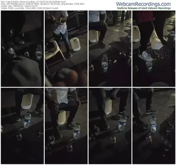 cam4-pollen_07-04-18-2025-20-59-46