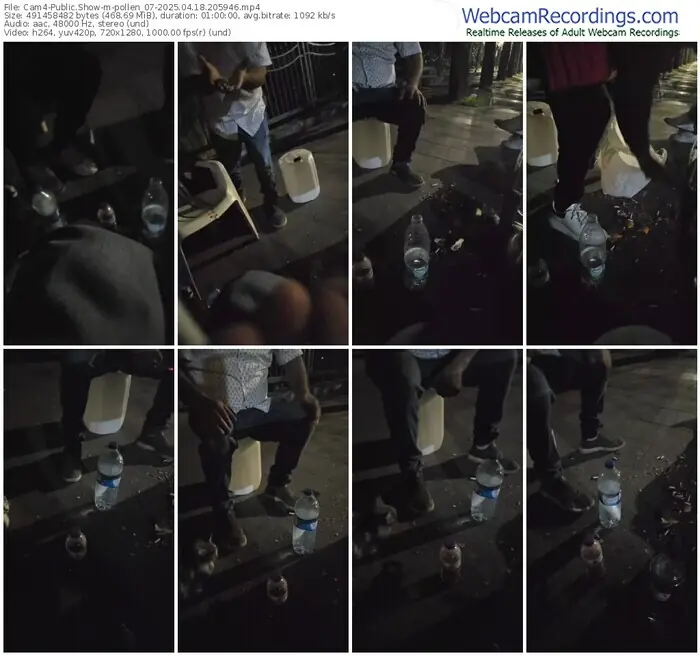 cam4-pollen_07-04-18-2025-20-59-46