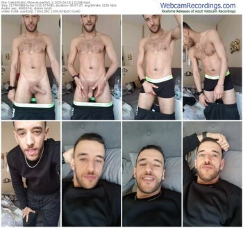 cam4-perfect_1-04-19-2025-12-22-08