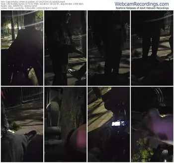 cam4-pollen_07-04-19-2025-18-14-24