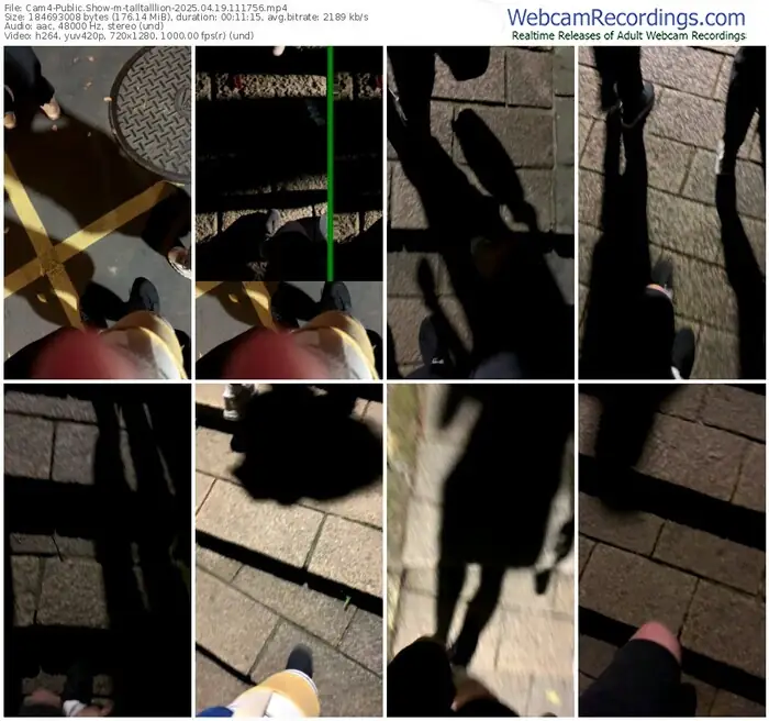 cam4-talltalllion-04-19-2025-11-17-56