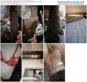 cam4-lukignolo81-04-20-2025-08-35-37