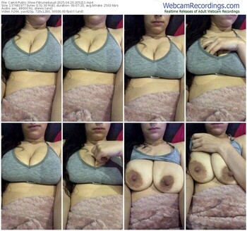 cam4-brunedusud-04-20-2025-20-52-11