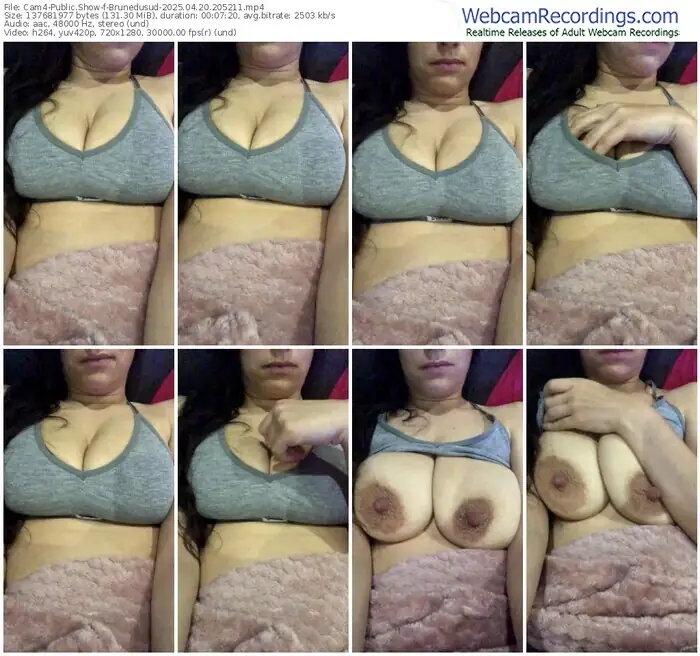 cam4-brunedusud-04-20-2025-20-52-11