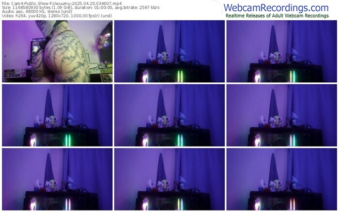 cam4-uwuumu-04-20-2025-03-46-07