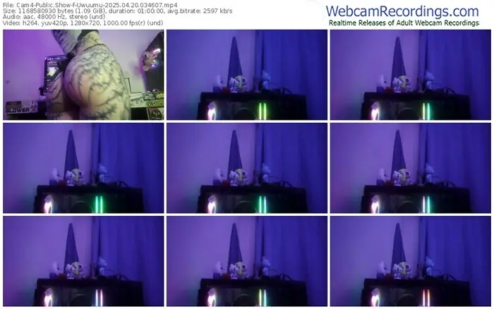 cam4-uwuumu-04-20-2025-03-46-07