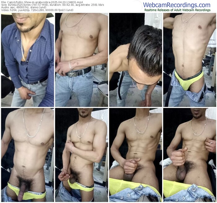 cam4-arabxcobra-04-20-2025-13-48-31