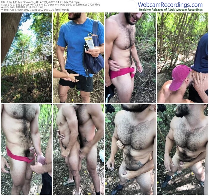 cam4-_alladyn_-04-21-2025-16-42-57
