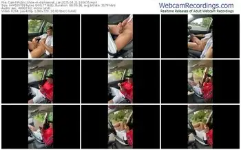 cam4-darksecret_lar-04-21-2025-16-56-35