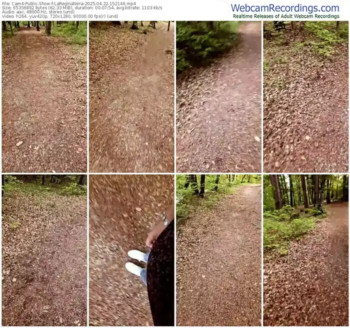 cam4-lareginanera-04-22-2025-15-21-46